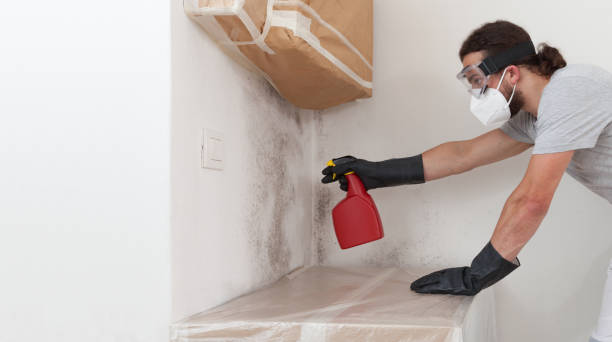 Professional Crawl Space Mold Remediation technician working in Roanoke, TX