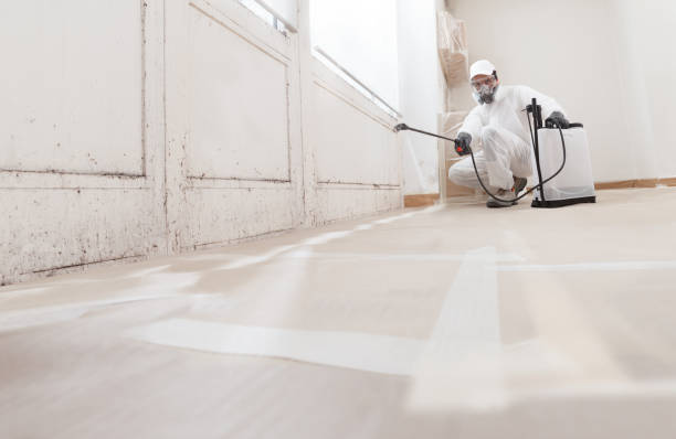 24/7 Emergency Crawl Space Mold Remediation experts in Roanoke, TX