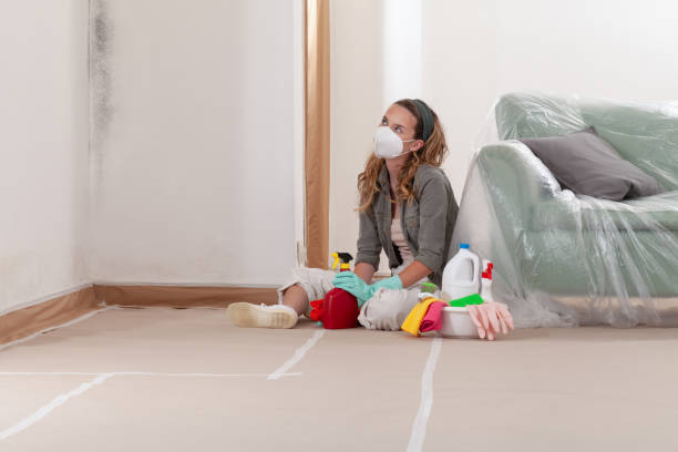 Reliable Crawl Space Mold Remediation contractor in Roanoke, TX by Mold Remediation HQ