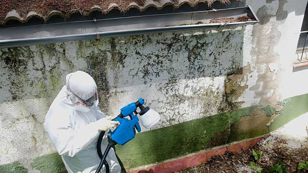 Top rated local Crawl Space Mold Remediation specialists in Roanoke, TX